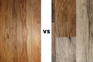 Sheesham vs. Mango (Comparing Wood – Pros & Cons)