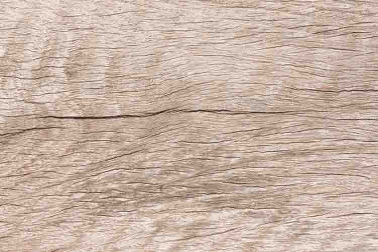 Shorea obtusa wood or Burma Sal wood.