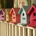 Colorful collection of birdhouses lined-up on a porch railing.