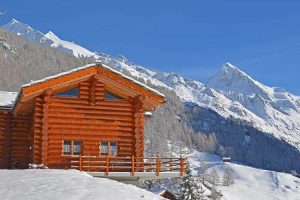 Best Wood for Building Material