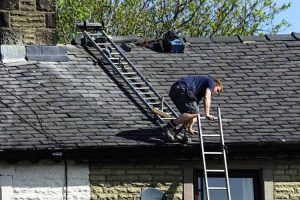 Best Wood for Roofing