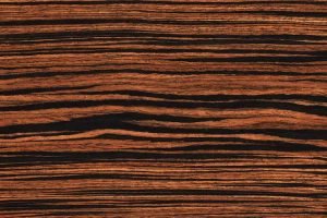 Types of Ebony Wood