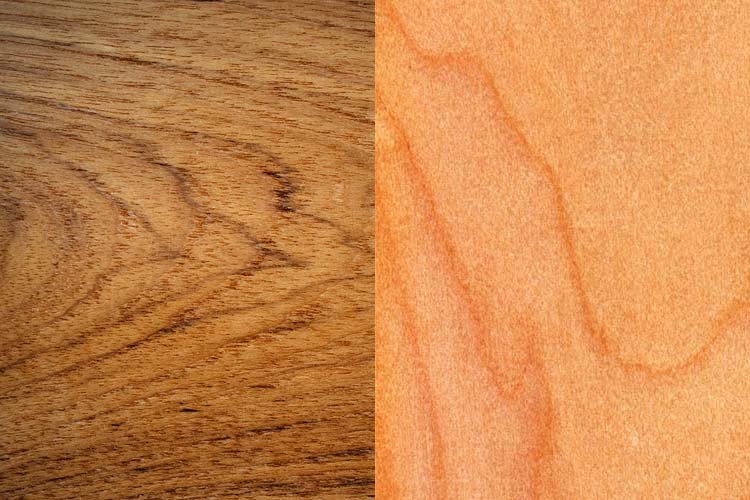 Tectona grandis (leaves flowers and fruit). Location: Maui, Kihei