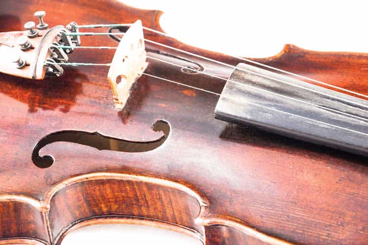 A violin or fiddle from the front side — Photo
